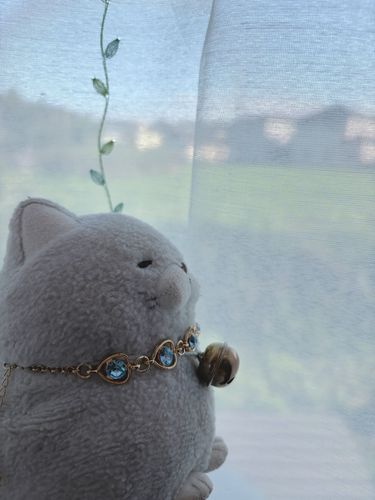 待ちわびていた青いお空にゃ✨✨
あたり前があたり前じゃにゃい世の中。。有り難いにゃ〜☀️