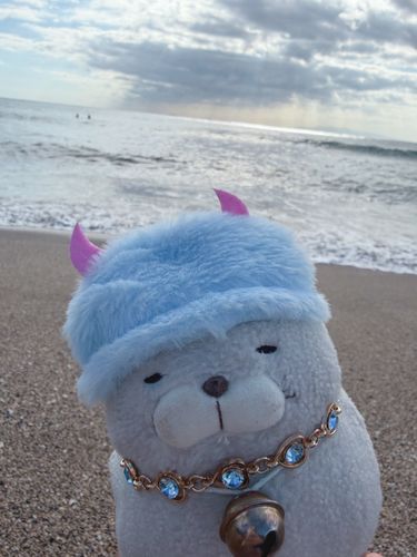 先週末、いつもの海に癒されに行ってきたにゃ〜🌴✨
でもにゃ、土砂崩れで通行止めの道がだいぶあって気軽に行っちゃいけにゃいと思ったにゃ
自然は癒やしをくれるにゃんけど、時に脅威にゃ。。