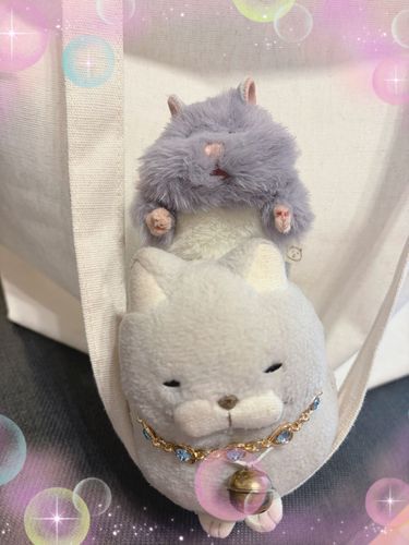 にゃんと、新しいお仲間の紹介にゃー✨✨
お仲間がどうしてもガマンできずにお迎えした、すももちゃんにゃ🩵
どうぞお見知り置きをにゃ♪