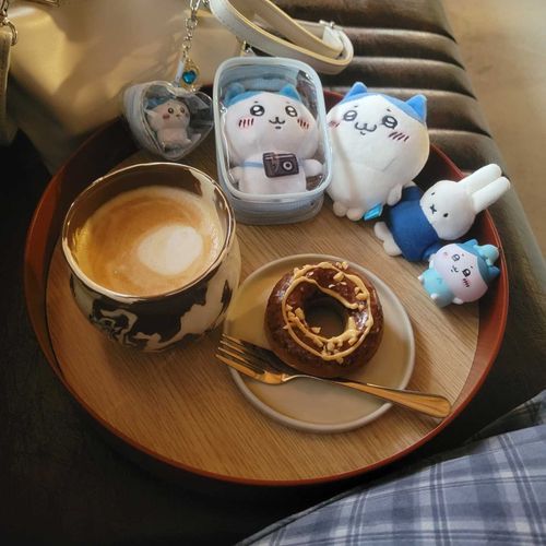 ハチワレいっぱいとミッフィー️🩵💙