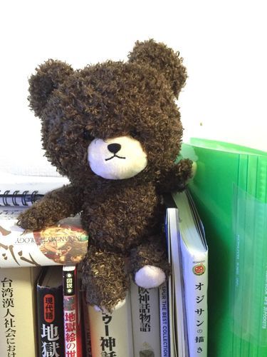 迎えたときはふかふか。最初は一生懸命目部分を出そうとしたけど、毛が長くて結局目が埋もれてた。