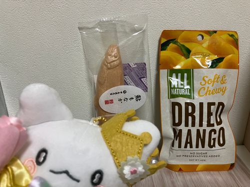 ぷれぜんとぼーいずのぷれぜんとのなかみは、おさかなのもなかとどらいまんごーだったの。
ありがとうなの。
おいしくいただくの。