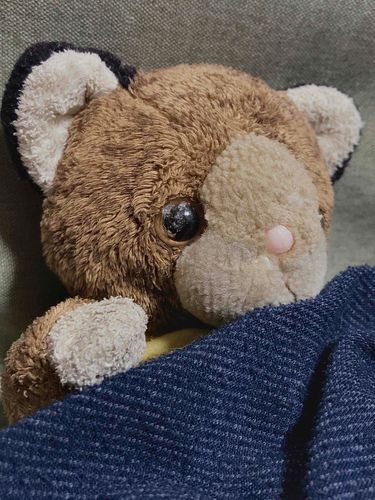 家がいちばん落ち着く