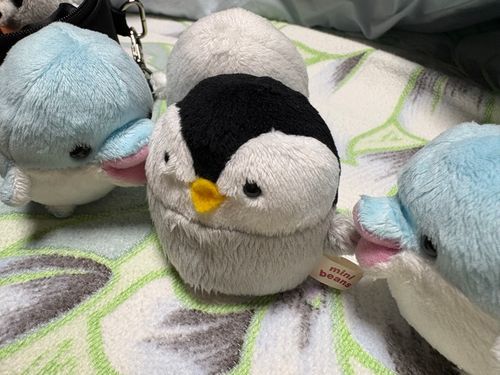 キスの日
キスしてるか？？？