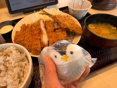 袋の上から撫でるの好き過ぎて
