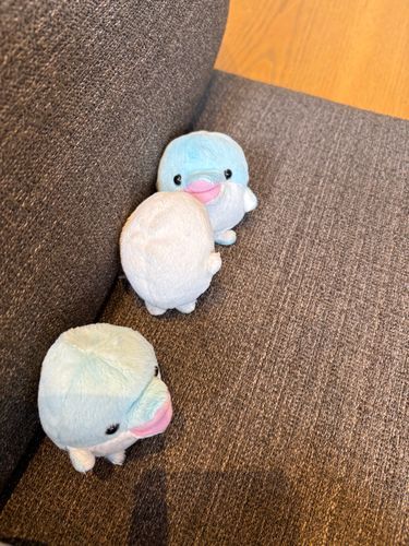 ポスト