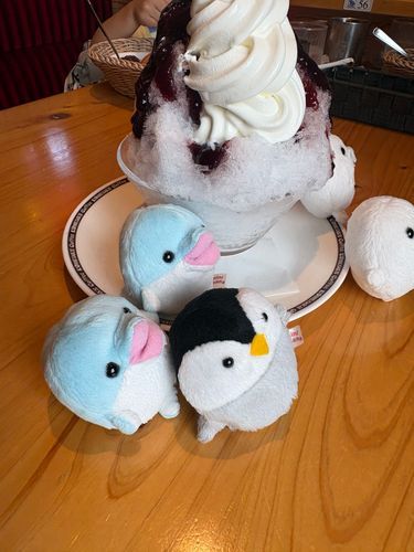 妹撮影により
コメダ