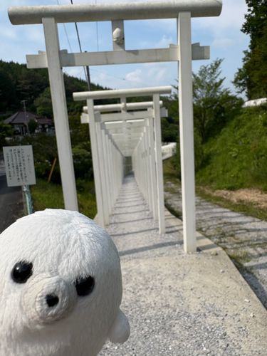 さいどうじ