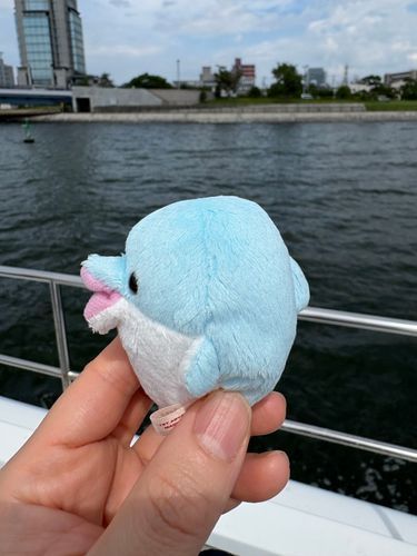 私の爪が縦線いやんなのですがクルーズの風に吹かれてるシクロ
