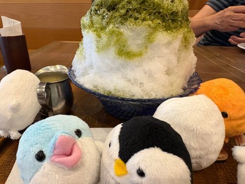 あら母が入ってる…