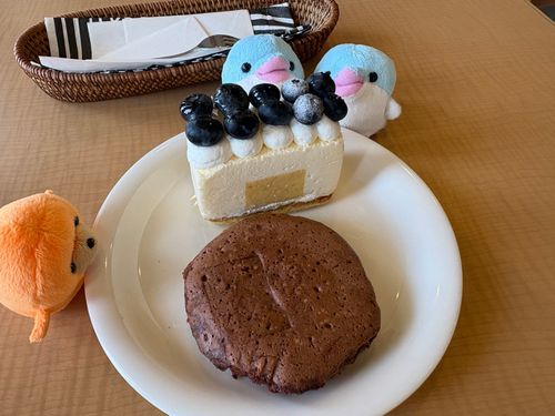 なんであの2個だけブルーベリーに粉糖かけてんだろ
そういうデザインなんだろ