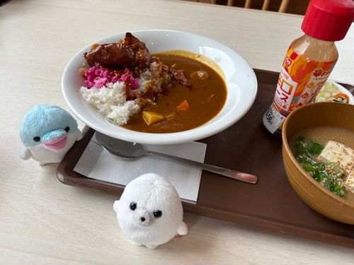 冷や汁はベター
すき家のロックポークカレー！！