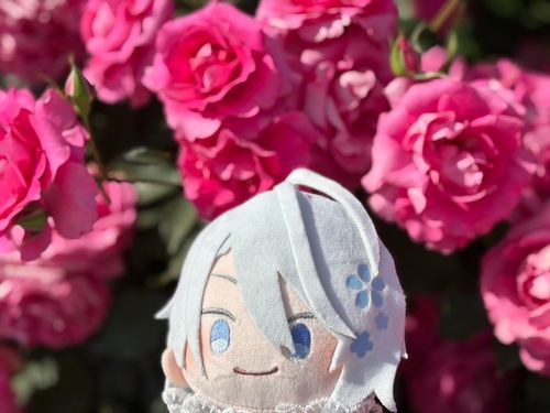 🌹