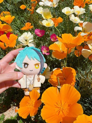 鮮やかで元気がもらえる🌼