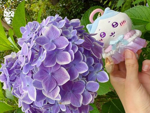 水彩絵の具で塗ったようなじんわり紫💜