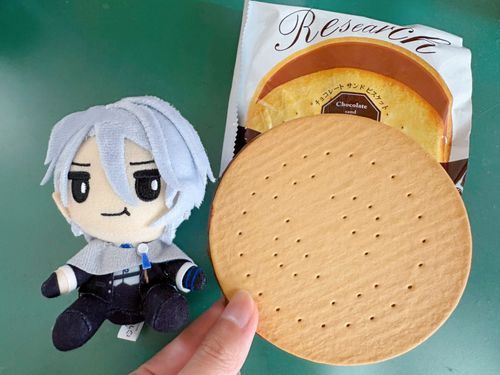 大きな大きなチョコビスケットサンド🍫
カロリーも大きいね…