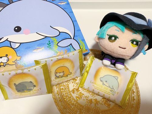 可愛い🐬です♪