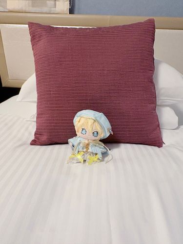 ホテルのベッドだ
クッションや枕が沢山あって、何となく嬉しくなるな
