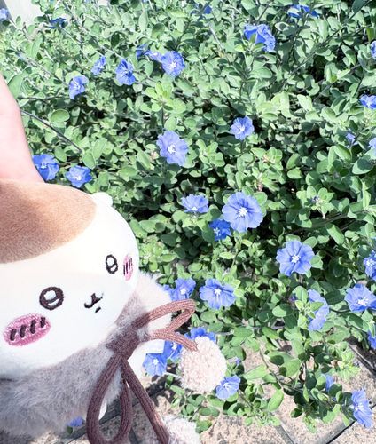 繁🌱