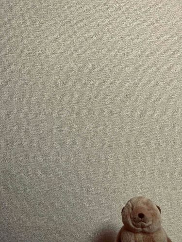 ごぶろうを探せ