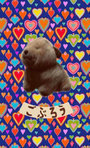 まちうけにどうぞ