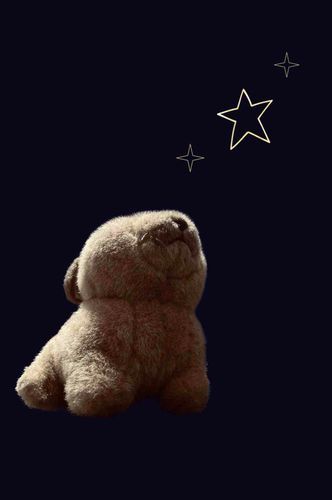 1番星をめざして