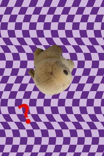 あれ…？？