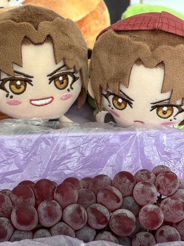 レヴィしゃんぶどうだよ