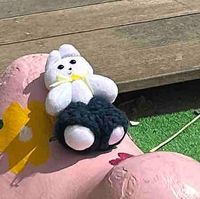 きんたろう