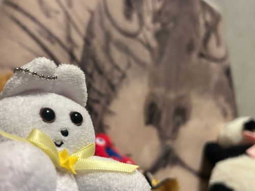 いえに　とら　きたんだよ