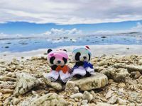 ぱんぱん&ぱしゅ