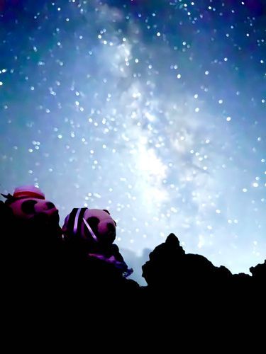 夏休みだから星を見てきたわ！
あっ、流れ星！

デビューしたい！
武道館！
東京ドーム！！