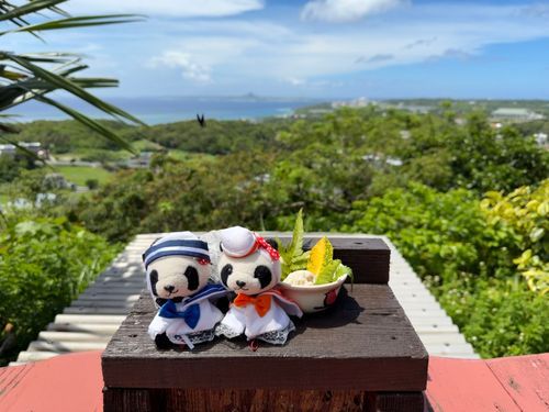 絶景カフェに来ました〜。
海と森と空！あと綺麗な蝶々さんも！
癒されるわ〜