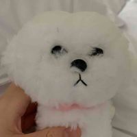 こたち