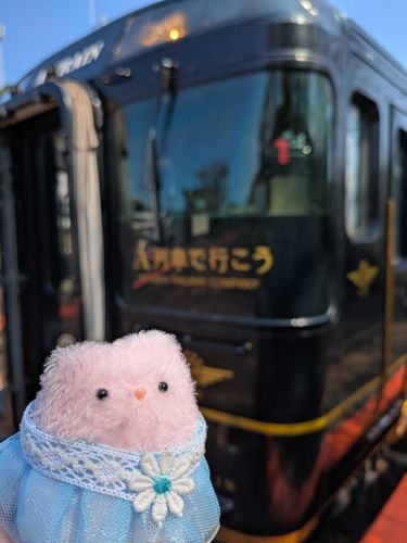 素敵な列車に乗りました。
このあと猫島として有名な湯島へ行ってたくさん猫と触れ合いました。