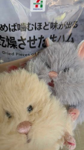 なまはむ？