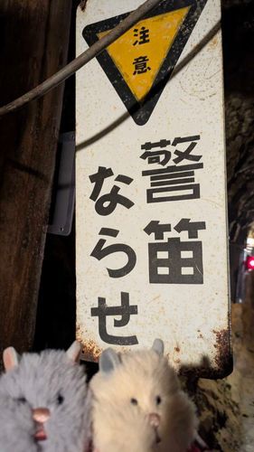 ならそう
