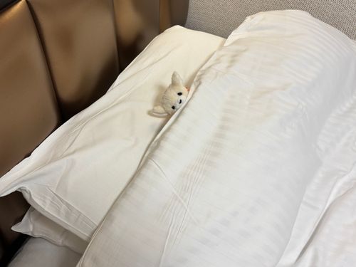 まくら かわると ねむれないタイプかも