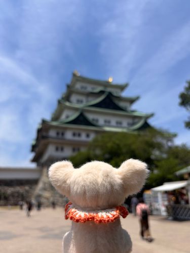 ちいさな チワワの、おおきな やぼう