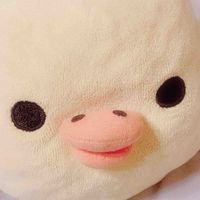 ブーちゃん