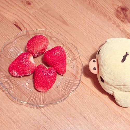 ブーちゃんみたいな𝒄𝒖𝒕𝒊𝒆 𝒔𝒕𝒓𝒂𝒘𝒃𝒆𝒓𝒓𝒚