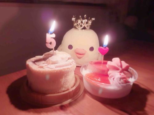 ブーちゃん、“しん”ごちゃいちゃま♡
じつはきのうおたんじょうびだたちゃまよ🤍🩷
おんなのことおんなのこのおとーちゃんがブーちゃんにけーきかってきてくれたちやまよ🎂♪
ブーちゃんるんるんちゃま❕🎶
けーきもおいちかったちゃまよ🍴🎀