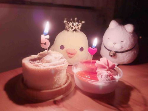 となりのあやちゅ、、けーきをねらってるちゃま、、❔(   -˘ ̫ -˘)