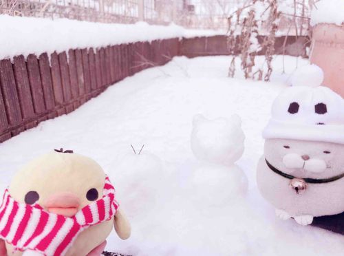 ブーちゃんとおハムちゃんのゆきだるまちゃま❕☃️
ゆきいっぱい、きれいちゃまーー❕❕❄️
ブーちゃん、おちゃちんとってるときにおんなのこのてがしゅべっちゃって、ゆきにぽふーしたちゃまよ❕❕うまれてはちめてちゃま❕ちゅめたかったけどちょときもちかったちゃま꒰=꒡ᵕ꒡=꒱
またゆきふってほちいちゃま🎶🤍