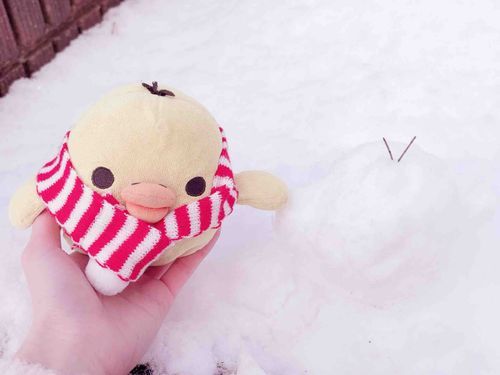 ブーちゃんだるまとおててつないだちゃま꒰=꒡ᵕ꒡=꒱♡