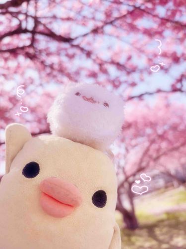 きらきら♡*.+゜