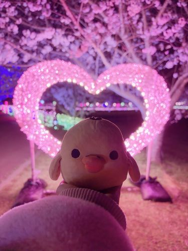 ぴっかりーーーーーーん！！！！！！！