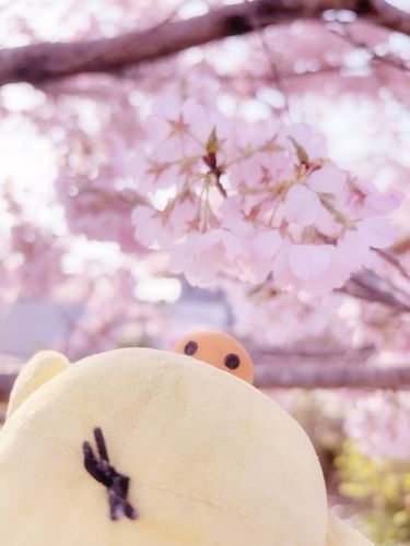 あともうちょっとちゃまっ