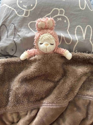 寝てます🐑💤
かわいすぎる(　߹꒳​߹ )