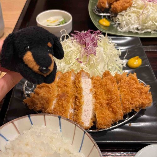 ダックスです。とんかつ食べました